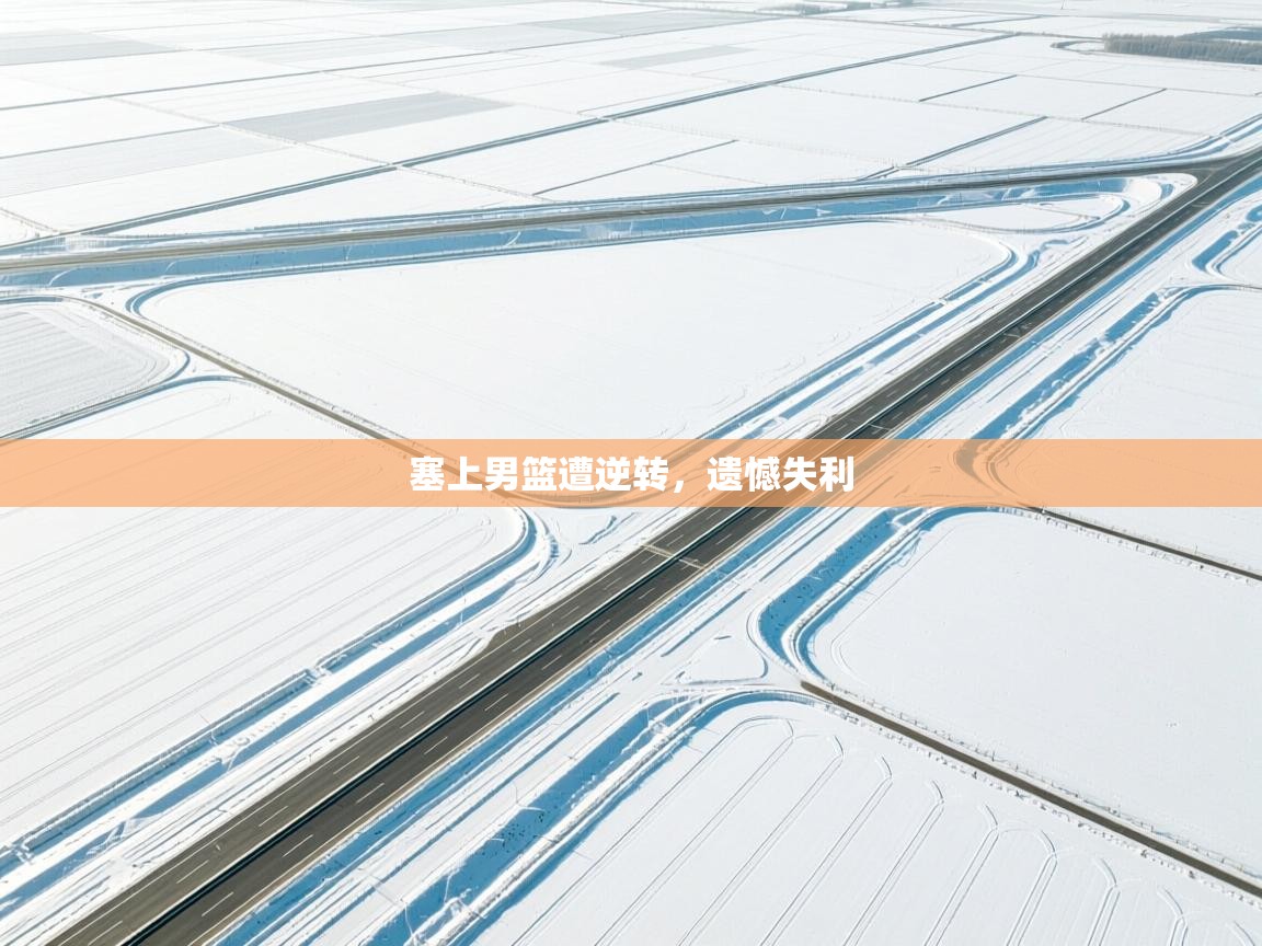 塞上男篮遭逆转，遗憾失利  第2张