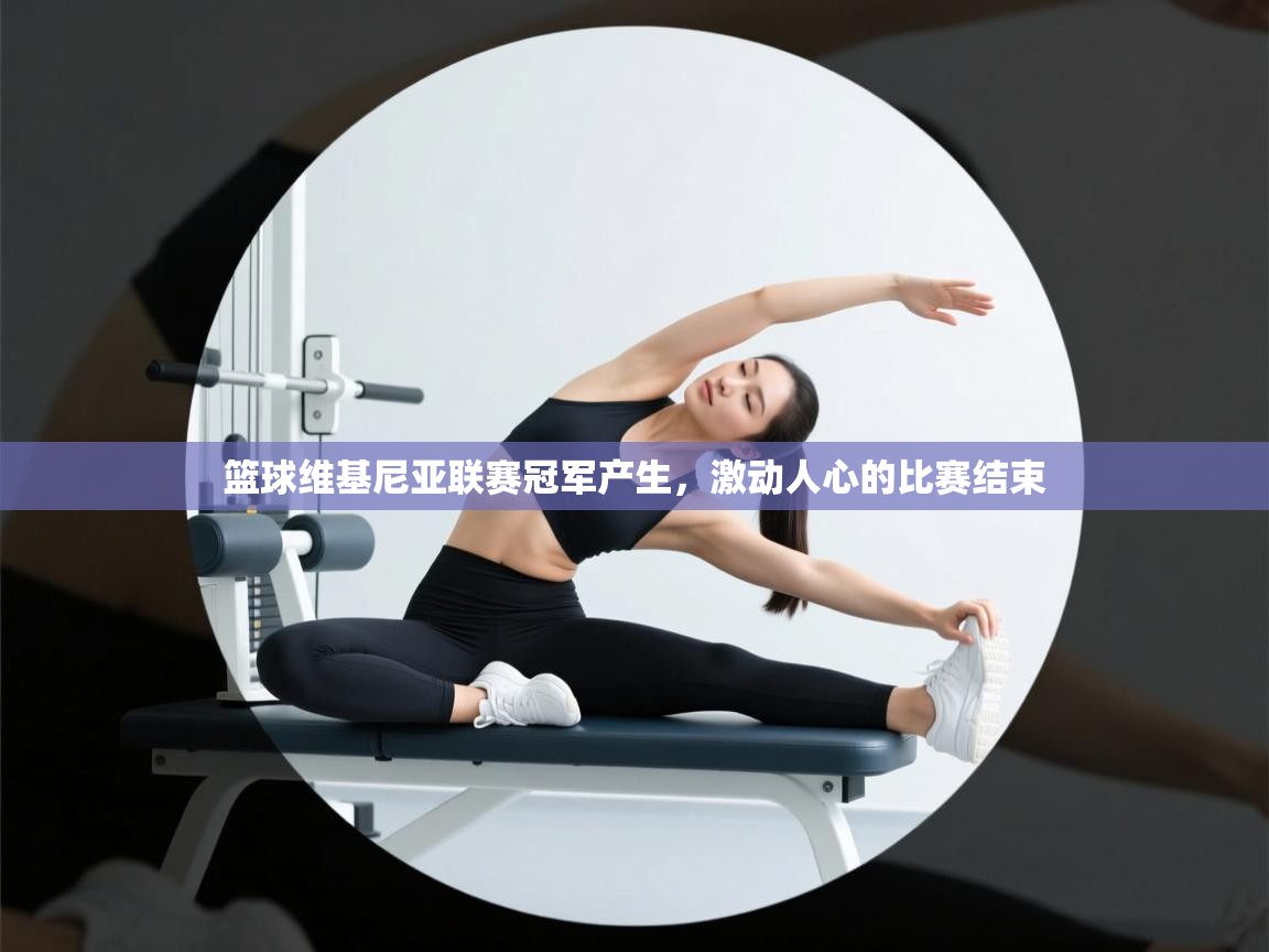 篮球维基尼亚联赛冠军产生,激动人心的比赛结束 第1张